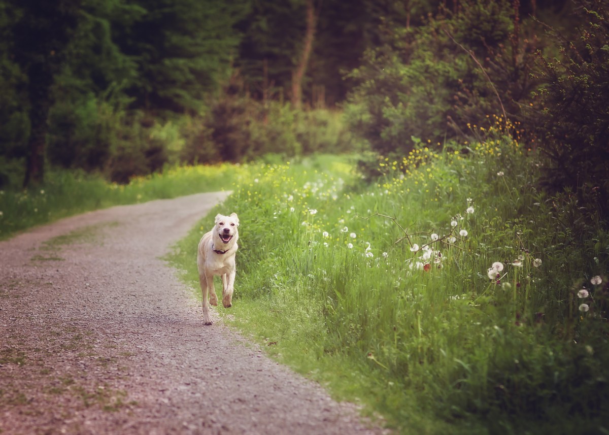 2. Daily routine / Svakodnevna&nbsp;rutina
