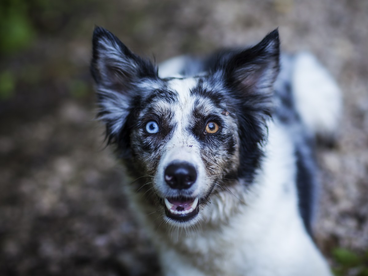 3. Structured walks / strukturirane&nbsp;šetnje